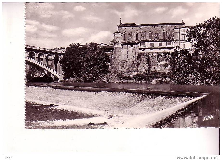 GAILLAC  -  Eglise  SAINT MICHEL  - N°  404 - Gaillac