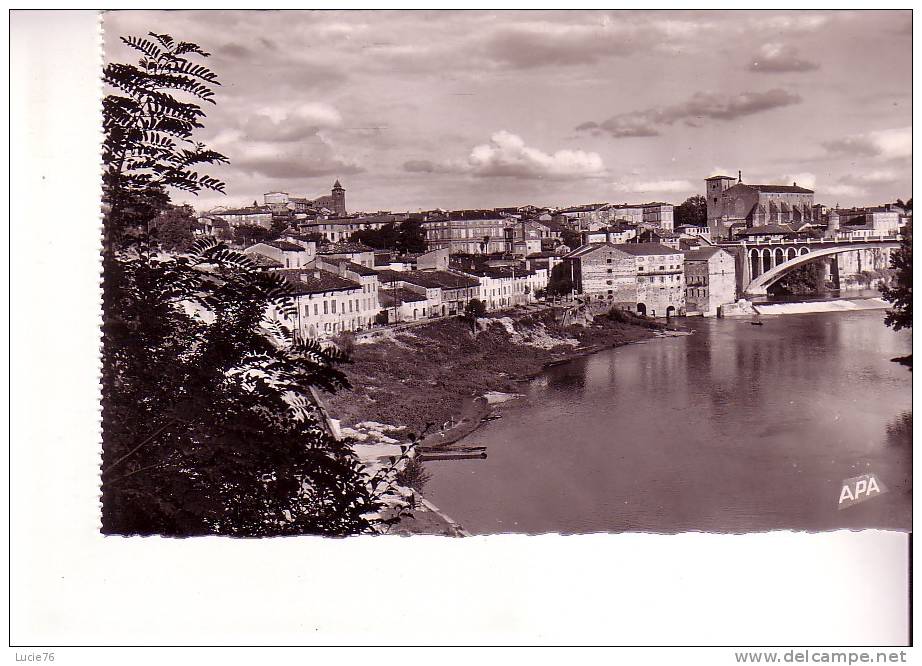 GAILLAC  -  Vue Générale è N°  401 - Gaillac