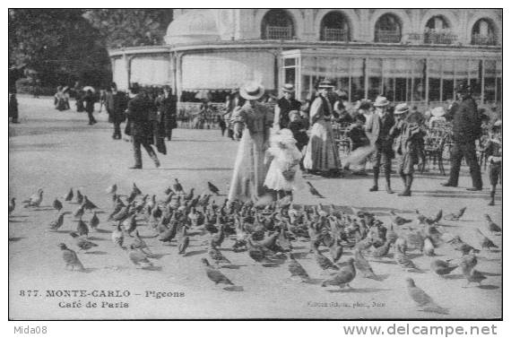 MONACO.  MONTE CARLO.   LES PIGEONS. CAFE DE PARIS .     Edition Giletta. - Bar & Ristoranti