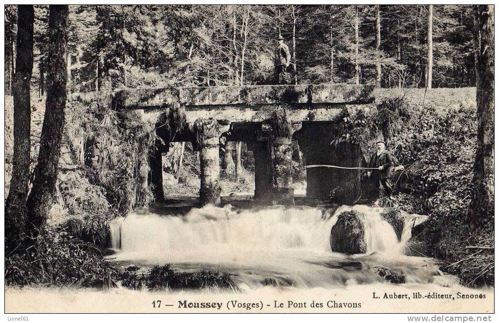 MOUSSEY : (88) Le Pont Des Chavons - Moussey