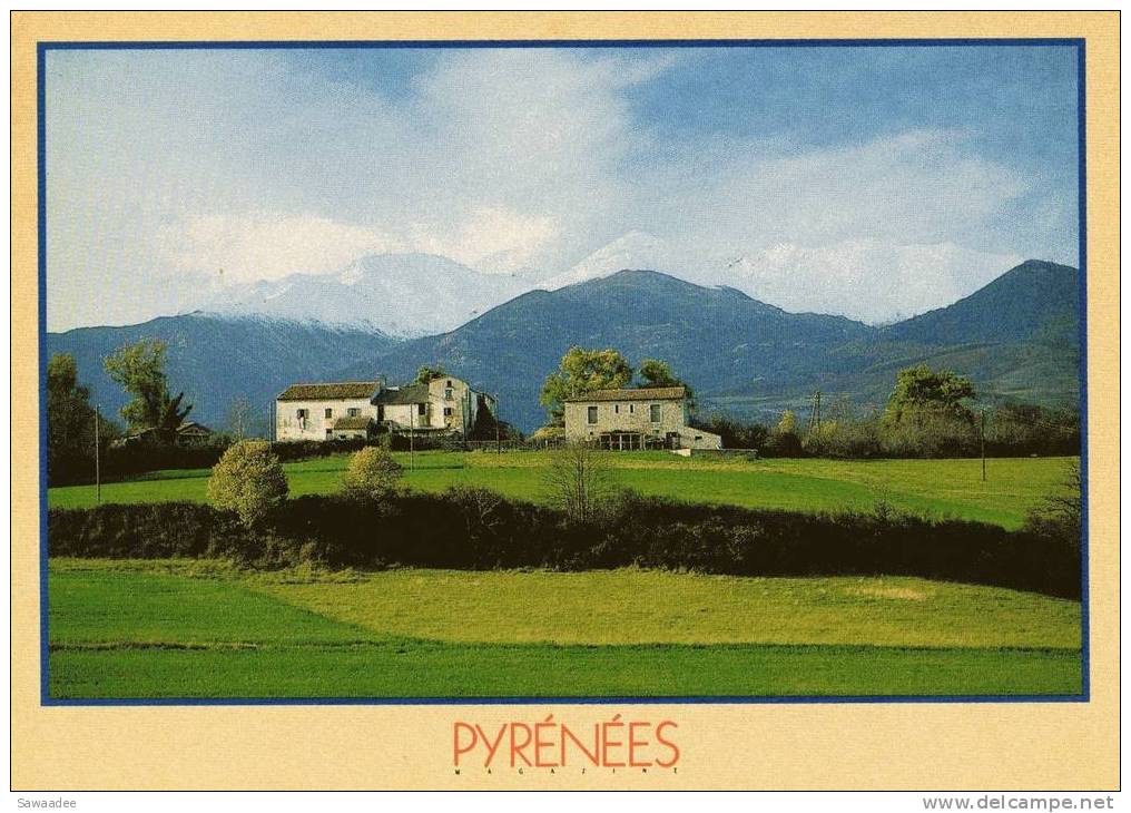 CARTE POSTALE - FRANCE - PYRENEES - VALLEE DU VALLESPIR - Bauernhöfe