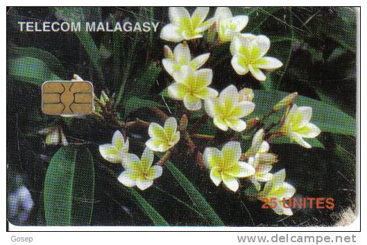 Madagascar-realisation-25 Units-tirage-1.600.000-used Card+1card Prepiad Free - Blumen