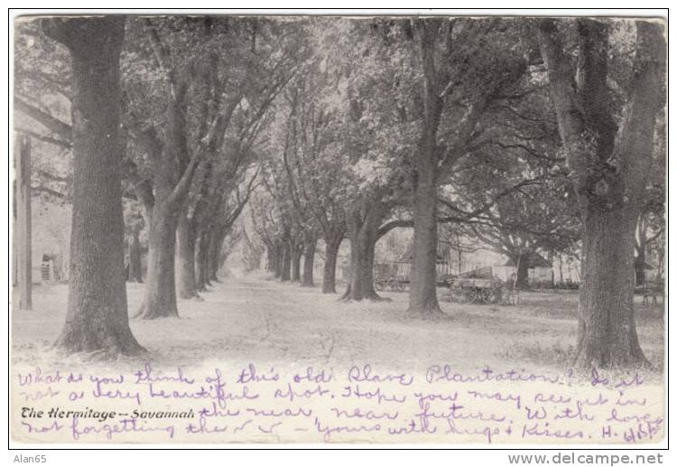 The Hermitage, Savannah Georgia Undivided Back Antique Postcard, Slave Plantation View Postally Used - Savannah