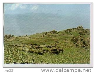 Jolie CP Yémen (à Confirmer) - A View Of Greenfields From Mahweet - Légende Et éditeur En Arabe - écrite - Yemen