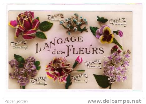 Le Langage Des FLEURS * Datée Du 17 Juin 1929 - Philosophie