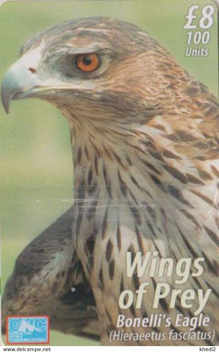 TC NEUVE NSB GIBRALTAR 800 EX - ANIMAL OISEAU Rapace AIGLE DE BONELLI - EAGLE Raptor BIRD MINT Chip Phonecard - Gibilterra