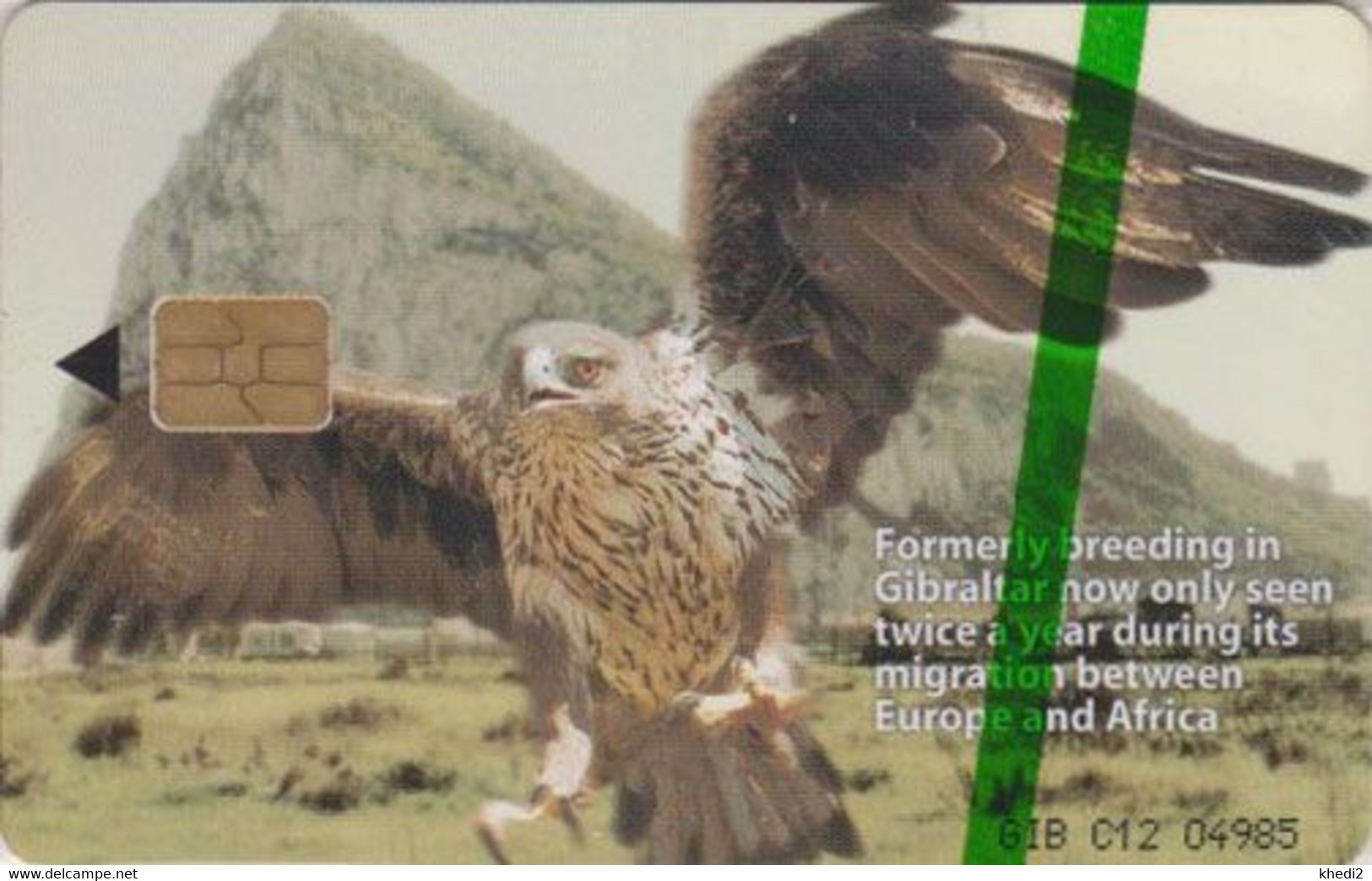 TC NEUVE NSB GIBRALTAR 800 EX - ANIMAL OISEAU Rapace AIGLE DE BONELLI - EAGLE Raptor BIRD MINT Chip Phonecard - Gibraltar