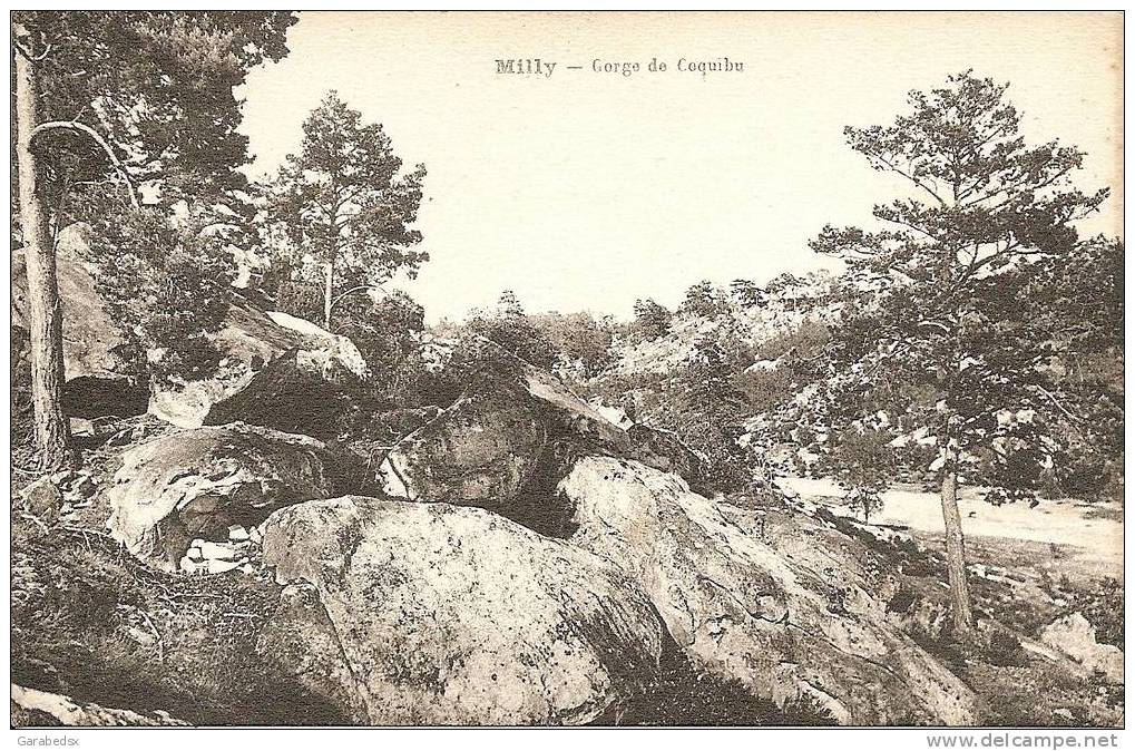 CPA De MILLY - Gorge De Coquibu. - Milly La Foret