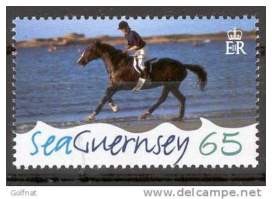 GUERNESEY EQUITATION - Horses