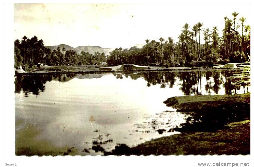 Colob Bechar - Le Barrage Sur L'oued - Noir Et Blanc - Bechar (Colomb Béchar)