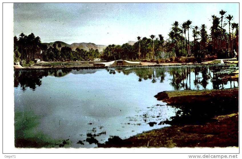 Colob Bechar - Le Barrage Sur L´oued - Couleur - Bechar (Colomb Béchar)