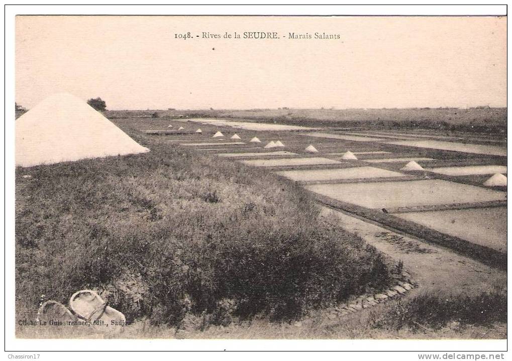 17  -   Rives De La SEUDRE -  Marais Salants - La Tremblade