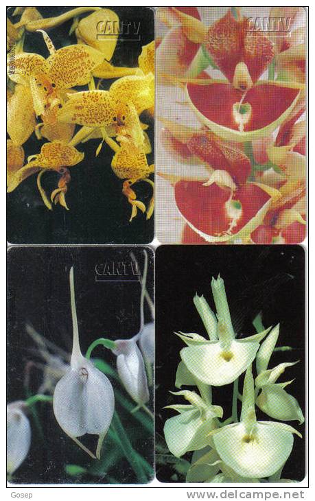 Venezuela-lot 4 Phone Card Flowers(stanhopea,catasetum,masdevallia,catasetum-used Card - Blumen