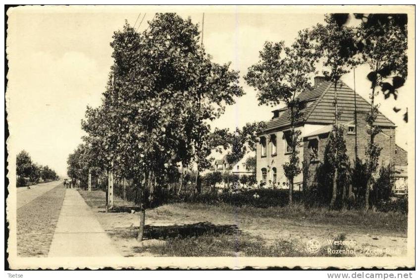 Westende - Rozenhof  -Zoete Rush - Westende