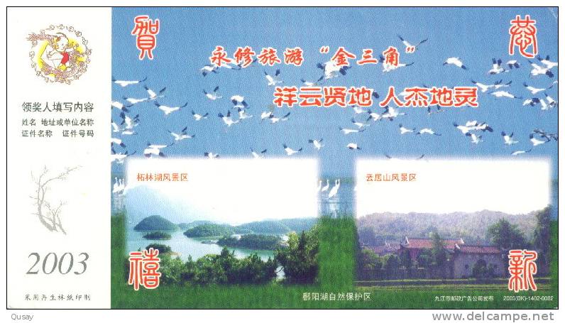 Nature Protection Area Of Panyang Lake , Bird Crane Oiseau Grue ,    Pre-stamped Card , Postal Stationery - Kranichvögel