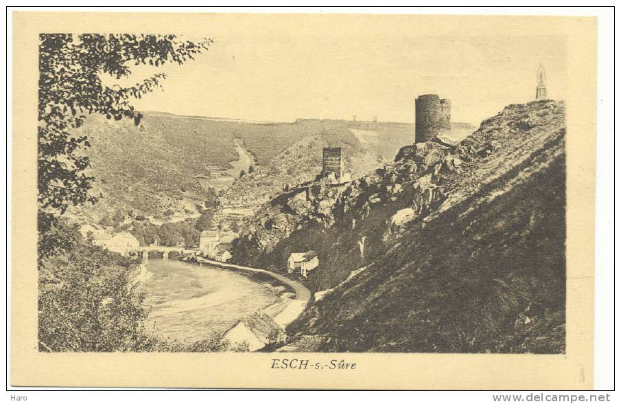 ESCH-sur-SÛRE - Panorama - Publicité De L'Hôtel Des Ardennes (1071) Sf - Esch-sur-Sure