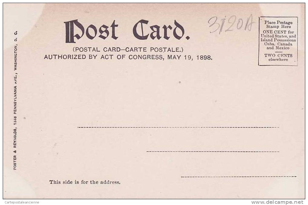 NATIONAL MUSEUM WASHINGTON DC 1900-1910s Published FOSTER & REYNOLDS N°113 -3120A - Washington DC