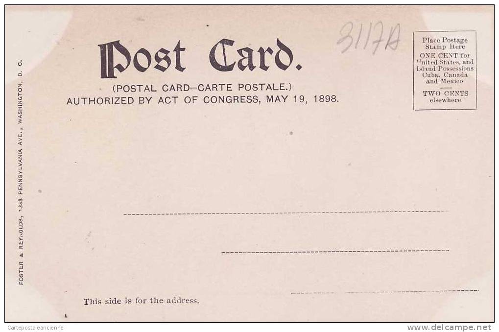 SMITHSONIAN INSTITUTION WASHINGTON DC 1900-1910s Published FOSTER & REYNOLDS N°112 -3117A - Washington DC