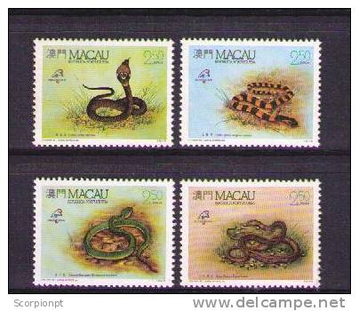 SNAKES  MACAO (Common Cobra + Banded Krait + Bamboo Pit Viper + Rat Snake) Set 4x Sp727 - Snakes