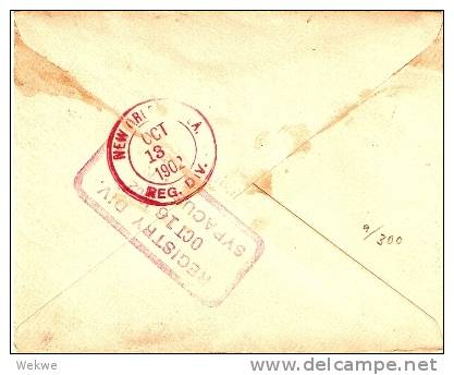 BRH007 / BRIT. HONDURAS -  Paar 5 C.Victoria 1902 Nach N.Y.  USA(Brief, Cover, Letter, Lettre) - Honduras Británica (...-1970)