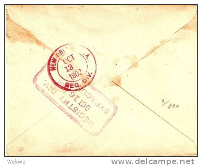 BRH007 / BRIT. HONDURAS -  Paar 5 C.Victoria 1902 Nach N.Y.  USA(Brief, Cover, Letter, Lettre) - British Honduras (...-1970)