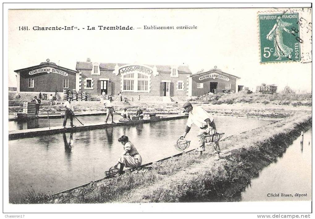 17 - LA  TREMBLADE-lot De 2 Cartes-Etablissement Ostréicole-L.Colombier-belle Animation -Pêcheuse D'huîtres - La Tremblade