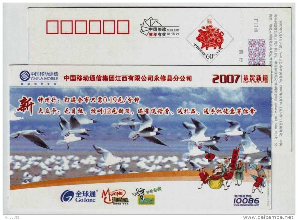 Rare Wildlife Bird,China 2007 Yongxiu Country Mobile Service Advertising Postal Stationery Card - Mouettes