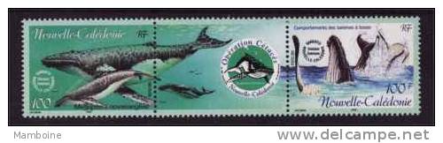 Nlle Caledonie 2002   BALEINE    844/845  Neuf Sans Trace (se Tenant) - Nuovi