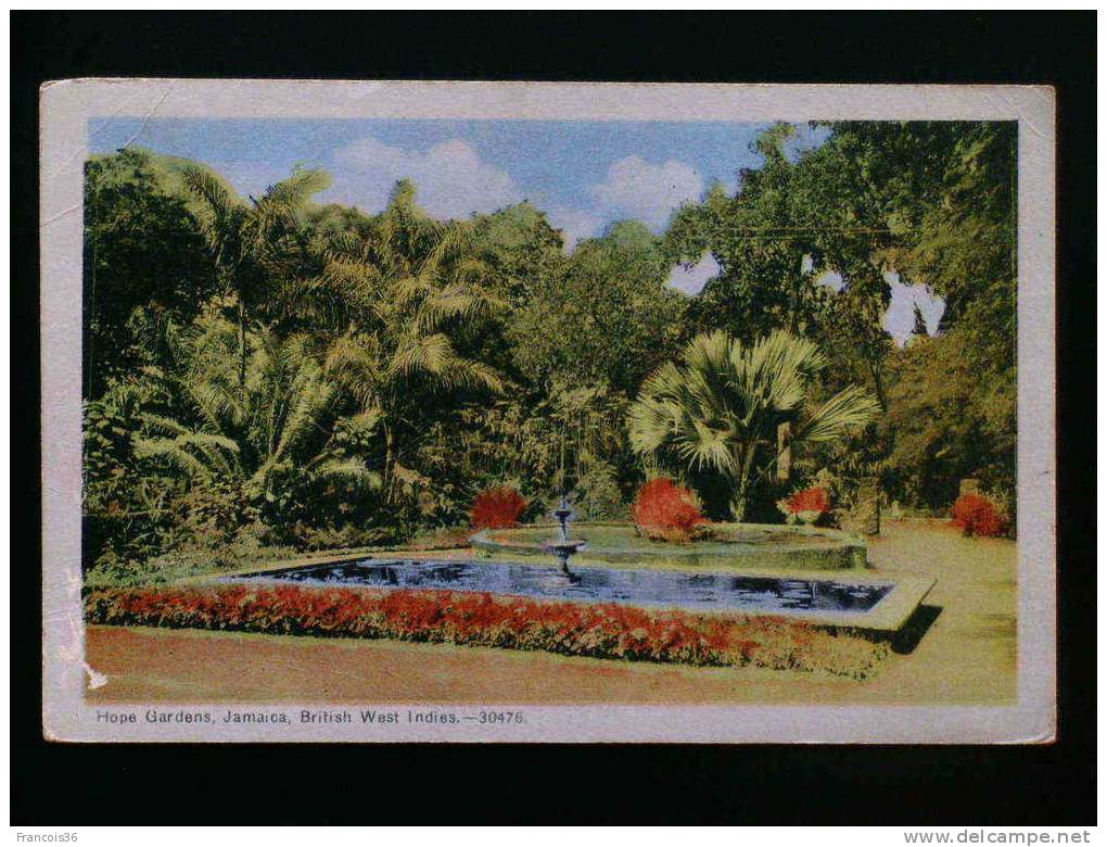 Jamaica - Hope Gardens - British West Indies  - - Jamaïque
