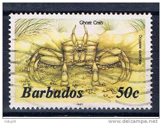 BDS+ Barbados 1985 Mi 626 XII Sandkrabbe (Jahreszahl 1987) - Barbades (1966-...)