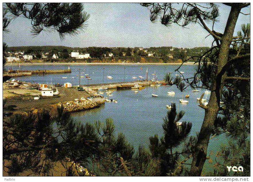 Carte Postale  29.  L´Ile De Crozon  Trés Beau Plan - Crozon