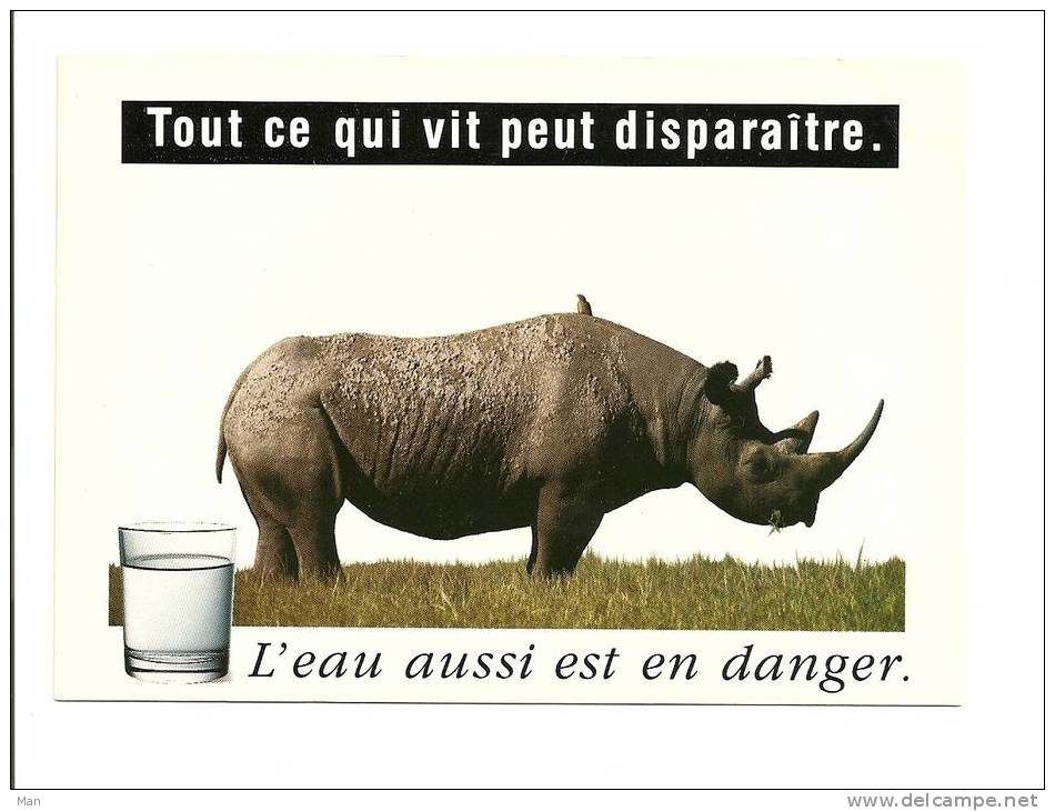 Rhinoceros: Tout Ce Qui Vit Peut Disparaitre, L´ Eau Aussi Est En Danger, Photo Reynard - Stock Image (08-1762) - Neushoorn