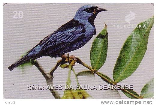 Brazil Phonecard Song Bird Verdelhino - Oiseau Passereau - Singvogel - 55 - Songbirds & Tree Dwellers