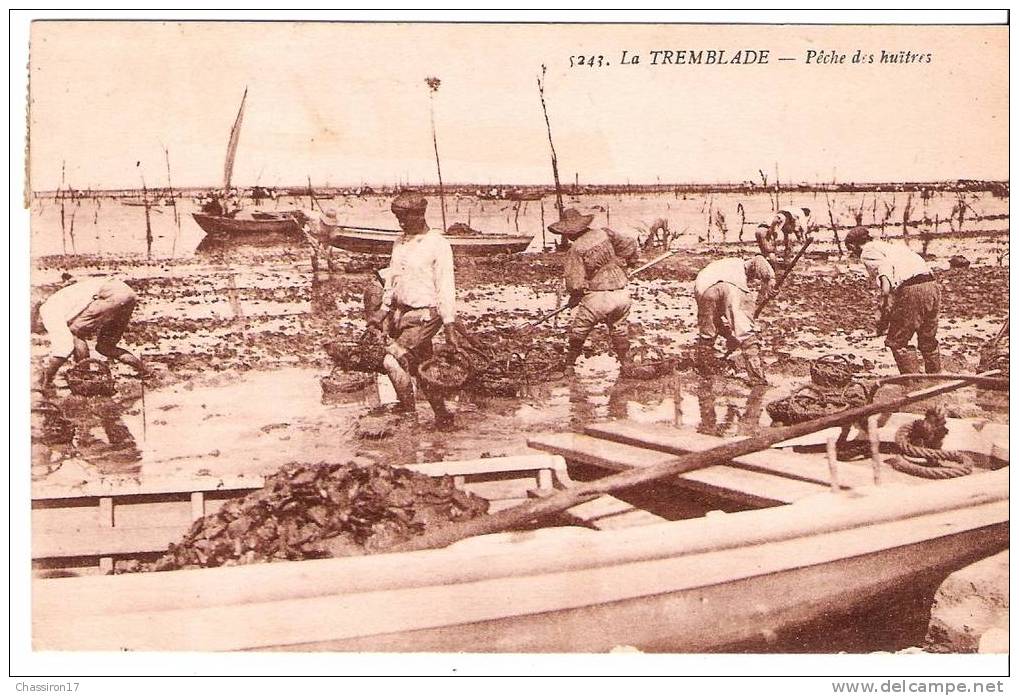 17 -   LA TREMBLADE -  Pêche Des Huîtres - Animée - La Tremblade