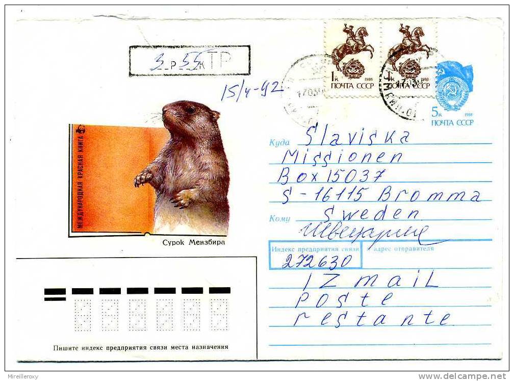 ANIMAUX / RONGEUR / CASTOR /  ENTIER POSTAL / RUSSIE /  URSS - Roedores