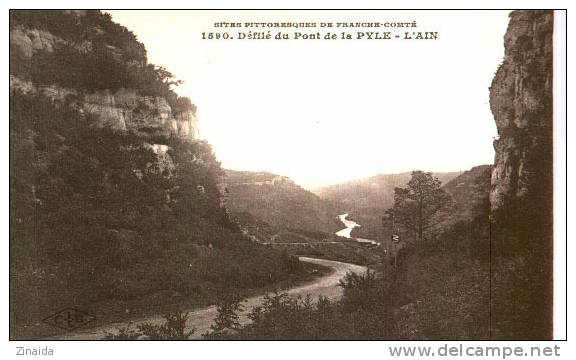 CPA DES ENVIRONS D ORGELET - DEFILE DU PONT DE LA PYLE - L AIN - Orgelet