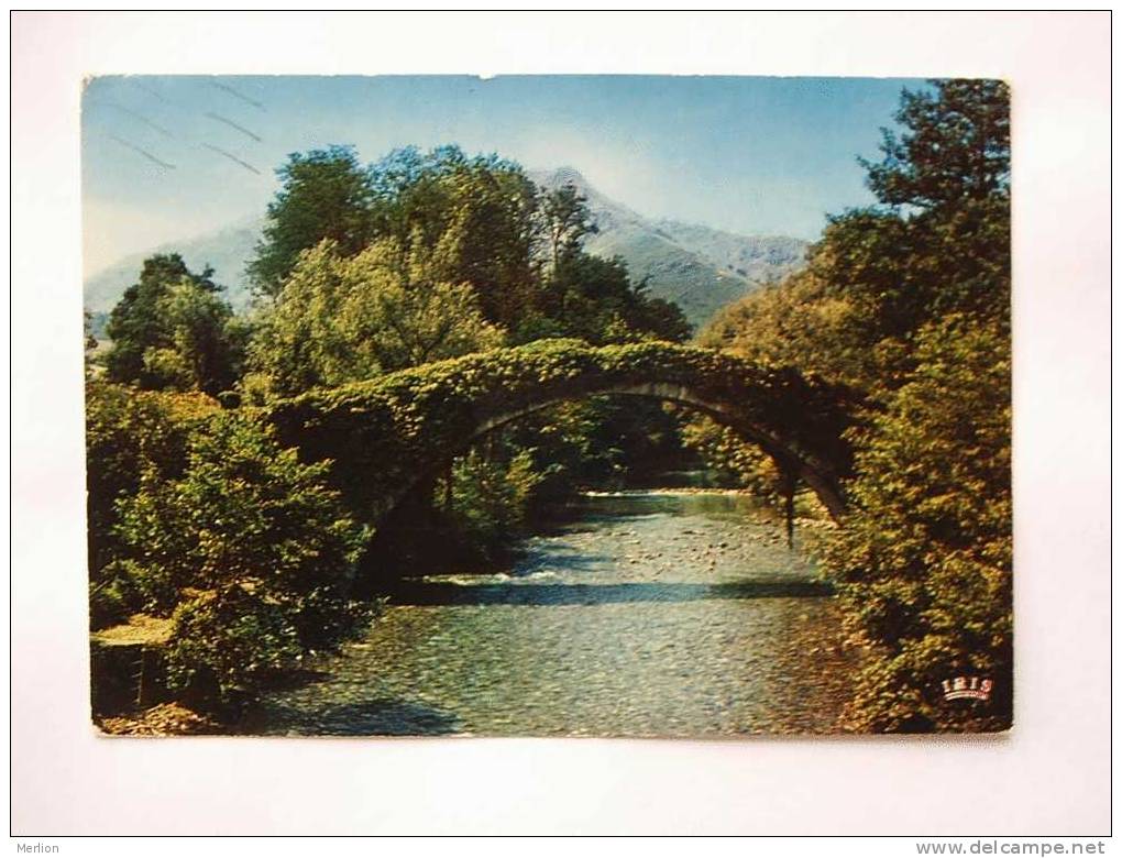 64 - Saint Etienne De Baigorry -Le Pont Romain  1970's   F   D23598 - Saint Etienne De Baigorry