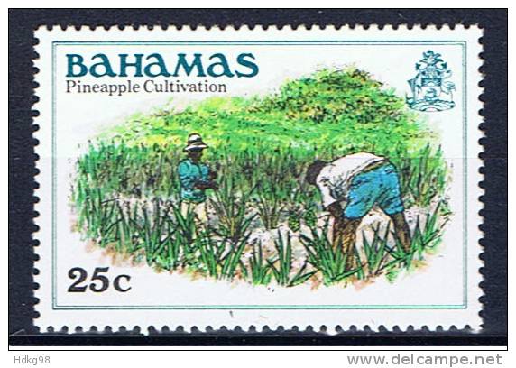 BS+ Bahamas 1980 Mi 463 Ananasplantage - Bahamas (1973-...)