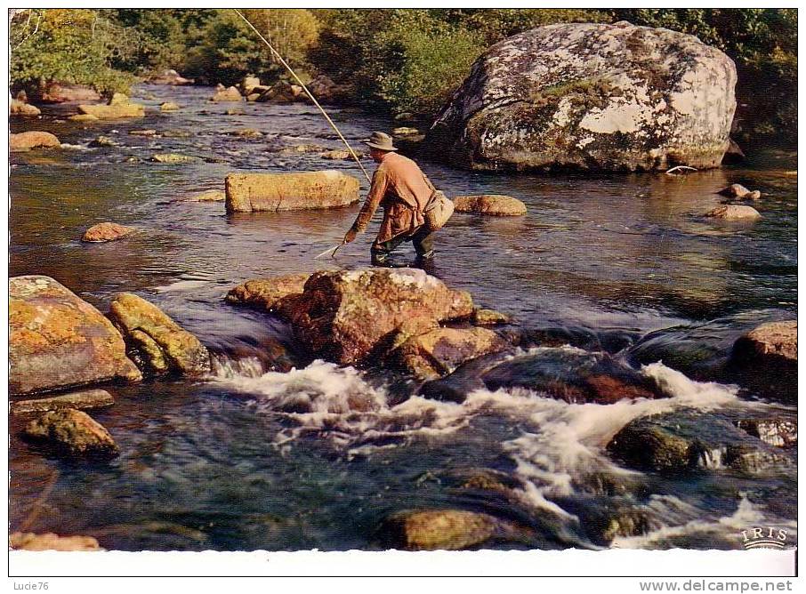 LE PECHEUR DE TRUITES - N° 19 131  - - Fishing