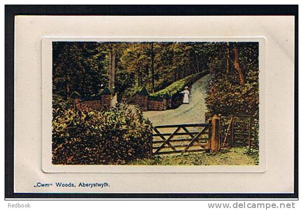 Early Postcard Aberystwyth "Cwm" Woods Cardigan Wales - Ref B139 - Cardiganshire