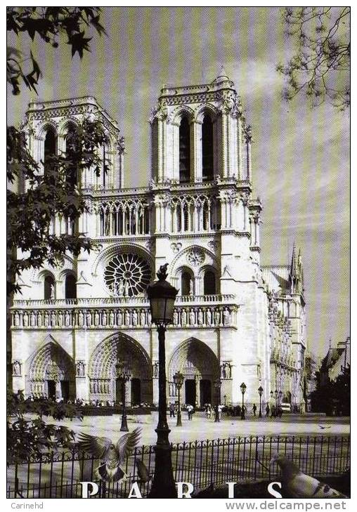 PARIS NOTRE DAME - Notre Dame De Paris