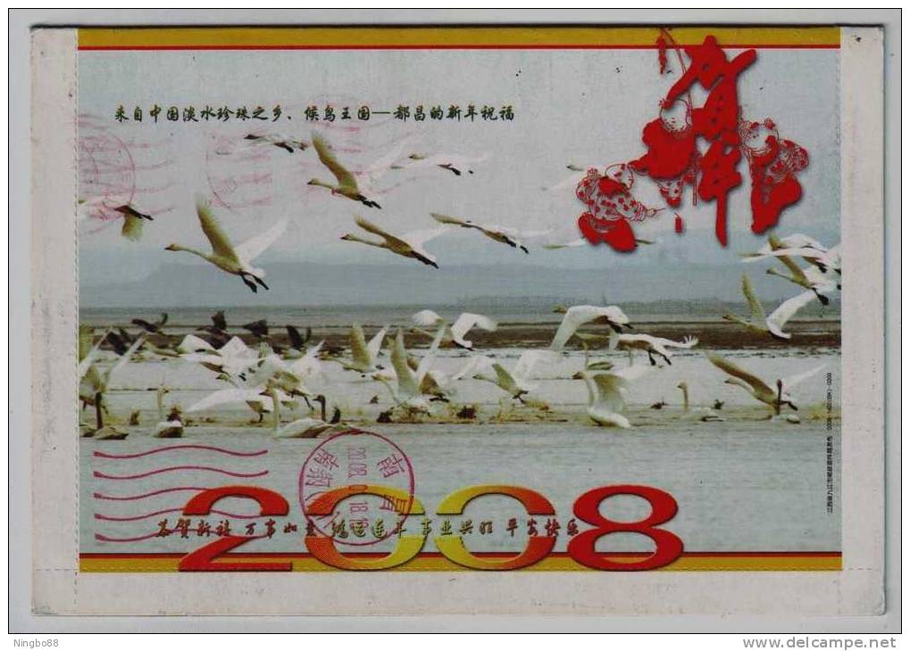 Swan Bird Take-off,hometown Of Cultured Pearl,kingdom Of Migratory Bird,CN 08 Duchang New Year Pre-stamped Letter Card - Cisnes