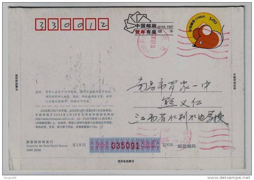 Swan Bird Take-off,hometown Of Cultured Pearl,kingdom Of Migratory Bird,CN 08 Duchang New Year Pre-stamped Letter Card - Cygnes