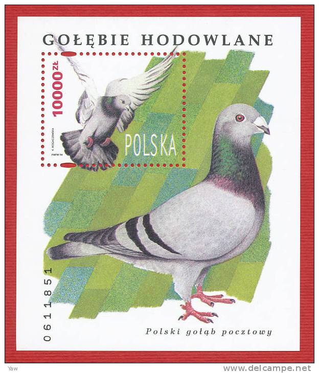 POLONIA  1994  PICCIONI POLACCHI. PICCIONE VIAGGIATORE(Columba Livia). BF NUMERATO,  YT 136 MNH** - Palomas, Tórtolas