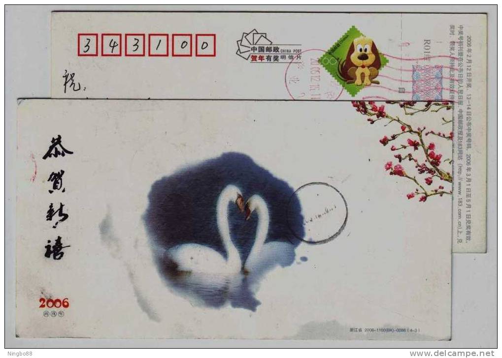 Swan Bird Lover,China 2006 Zhejiang New Year Greeting Advertising Pre-stamped Card - Swans