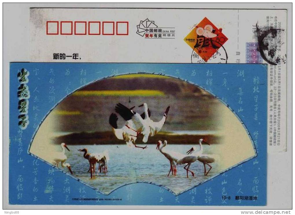 Poyanghu Lake Wetland Crane Bird,China 2008 Ecological Xingzi Landscape Advertising Pre-stamped Card - Grues Et Gruiformes