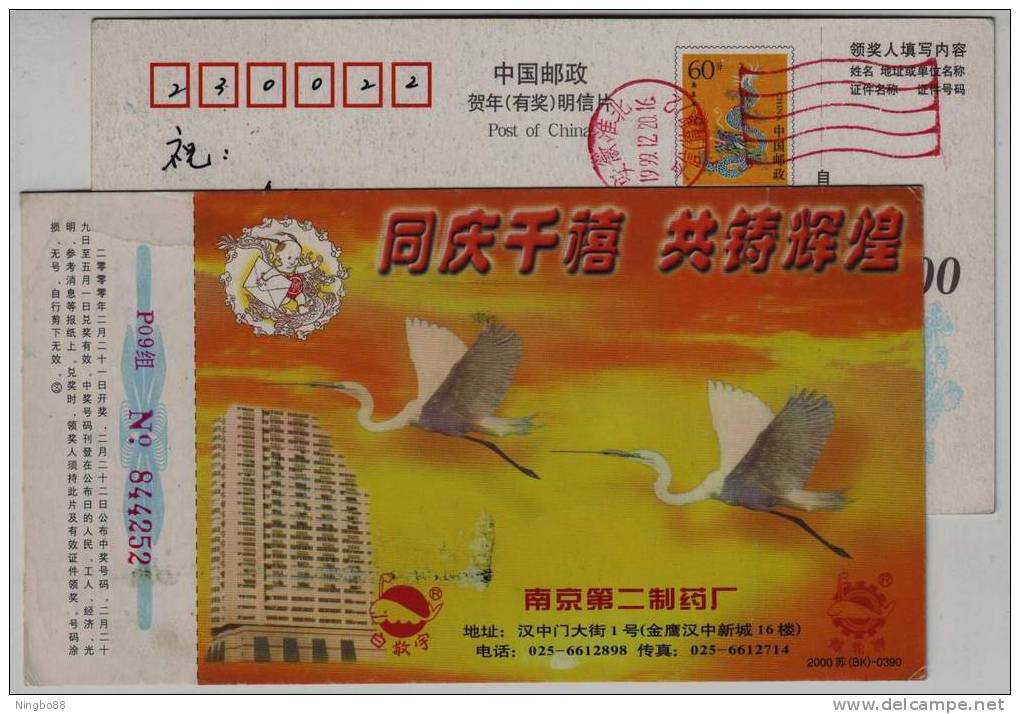 Red Crowned Crane,bird,China 2000 Nanjing No.2 Pharmaceutical Factory Advertising Pre-stamped Card - Kranichvögel