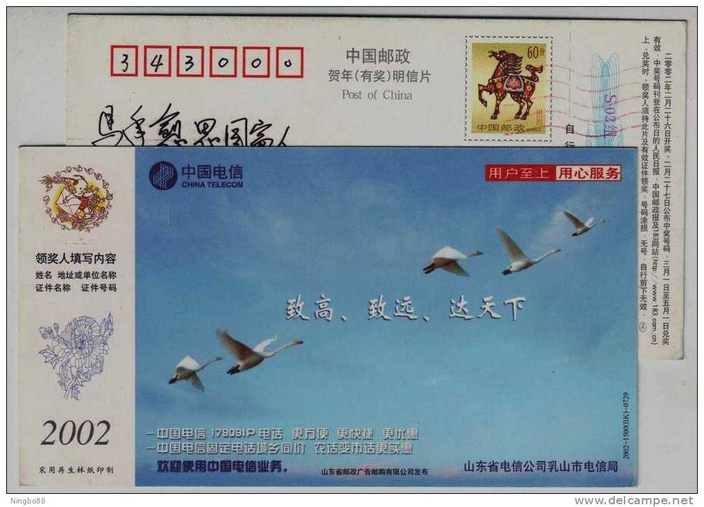 Swan Bird,China 2002 Lushan Telecom Service Advertising Pre-stamped Card - Cisnes