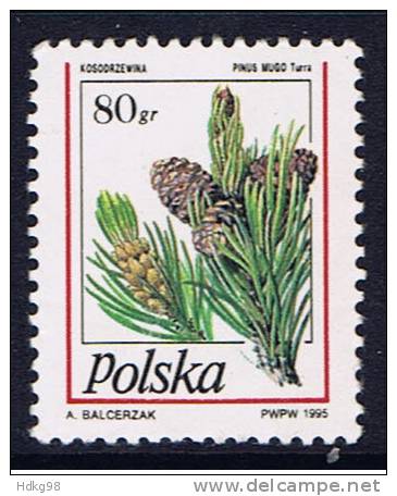 PL+ Polen 1995 Mi 3531 OG Tannenzapfen - Used Stamps