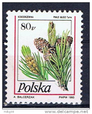 PL+ Polen 1995 Mi 3531 OG Tannenzapfen - Used Stamps